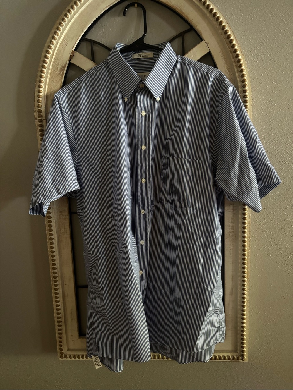 Van Heusen Blue & White Striped Short-Sleeve Button-Down Shirt